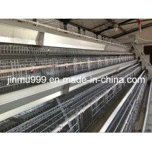 Layer Chicken Cage para la venta